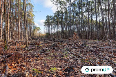 Terrain de loisirs - 1 570 m²