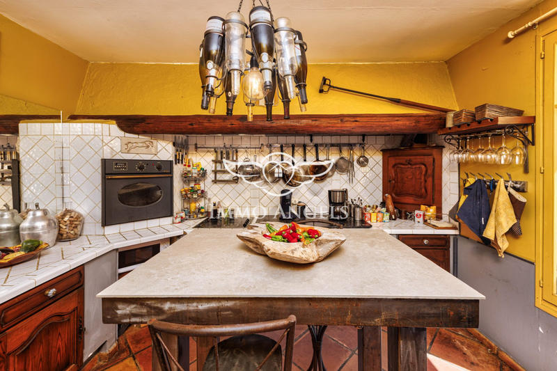 Mas - 575 m² - 21 pièces