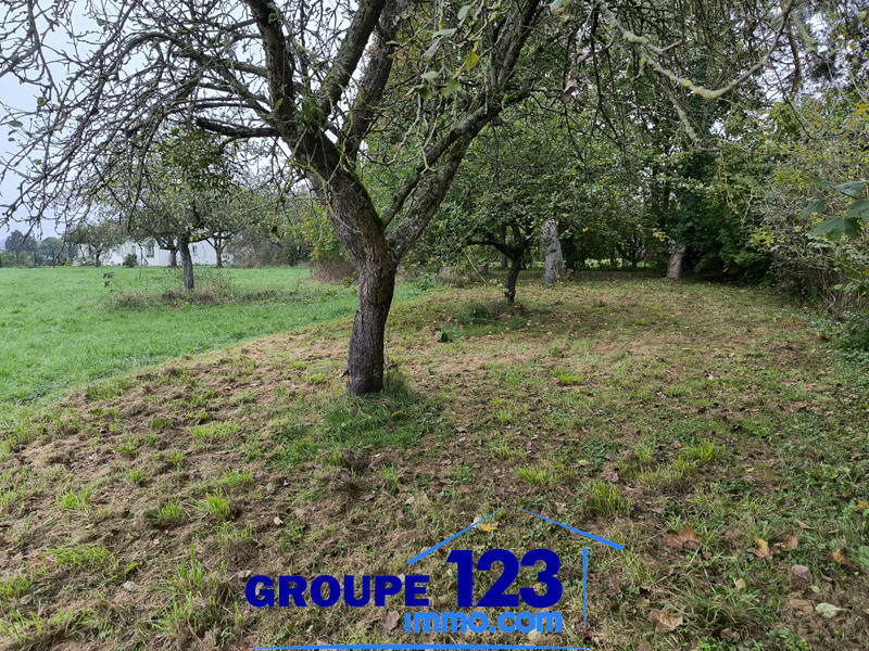 Terrain - 1 253 m²