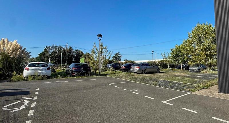 Bureau - 290 m² - 7 pièces