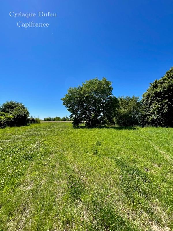 Terrain constructible - 1 954 m²