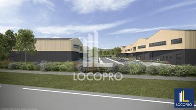 Local d'activité / Entrepôt - 1 954 m²