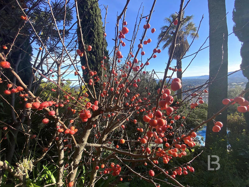 Maison - 322 m² - 10 pièces