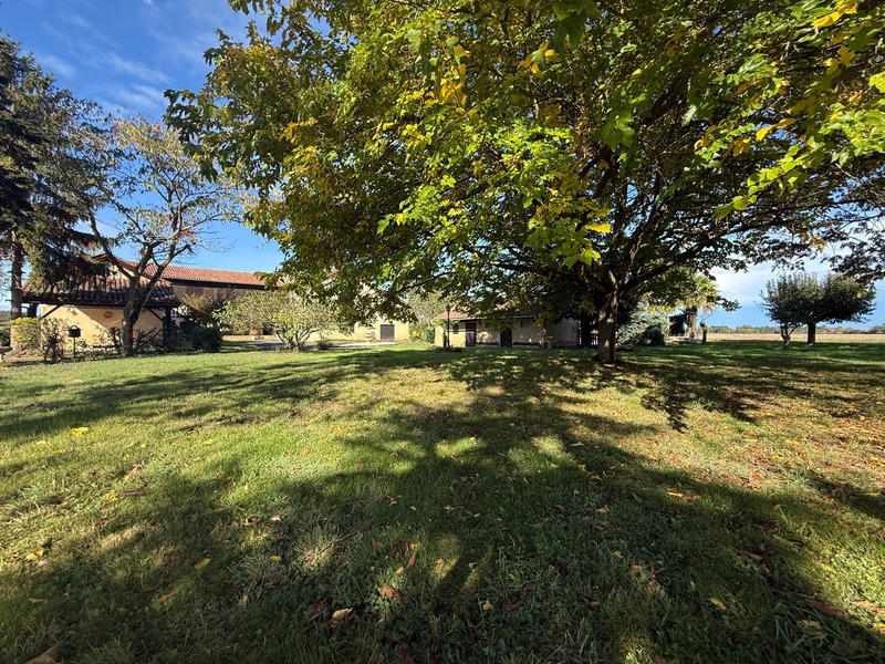 Maison - 250 m² - 5 pièces