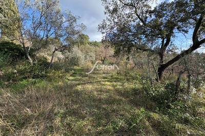 Terrain - 1 411 m²