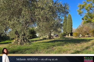 Terrain - 530 m²