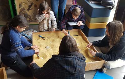 Que nous racontent les fossiles