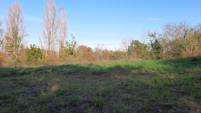 Appartement - 139 m² - 3 pièces