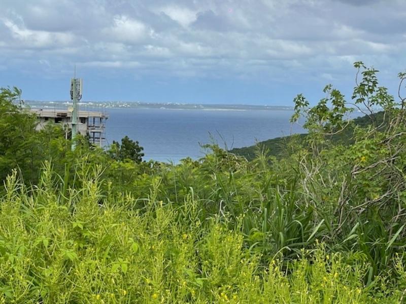 Terrain constructible - 1 502 m²