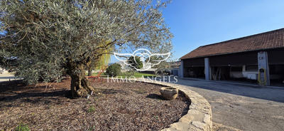 Mas - 554 m² - 26 pièces