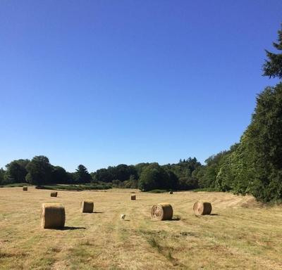 Corps de ferme - 110 m² - 5 pièces