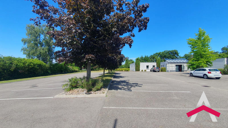 Local d'activités - 468 m²