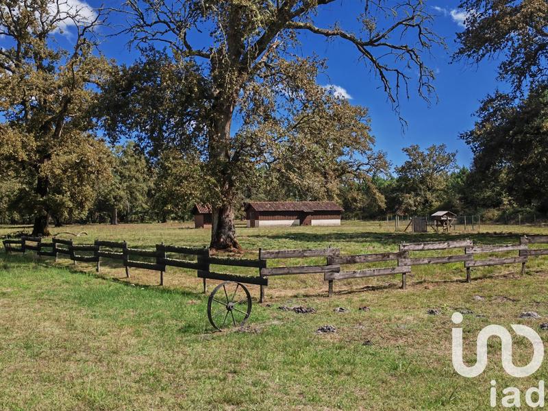 Maison - 245 m² - 6 pièces