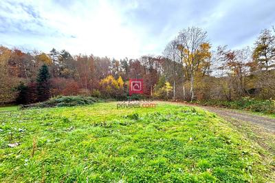 Terrain constructible - 3 200 m²