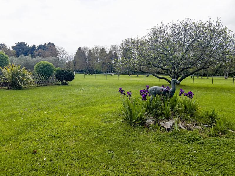 Mas - 460 m² - 14 pièces