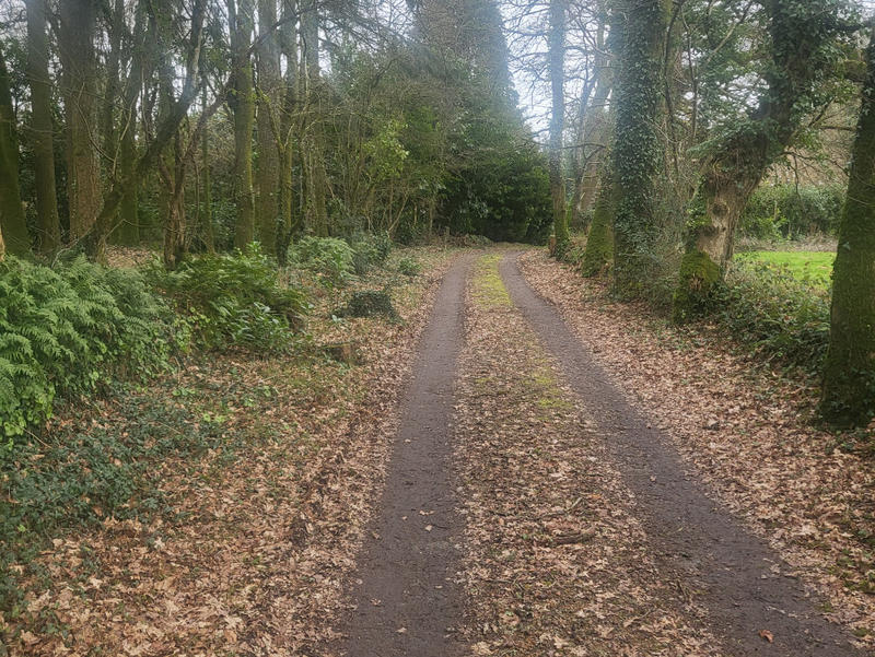 Maison - 169 m² - 6 pièces