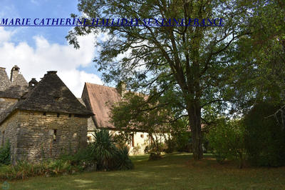 Maison - 230 m² - 6 pièces