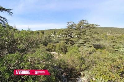 Terrain constructible - 1 650 m²