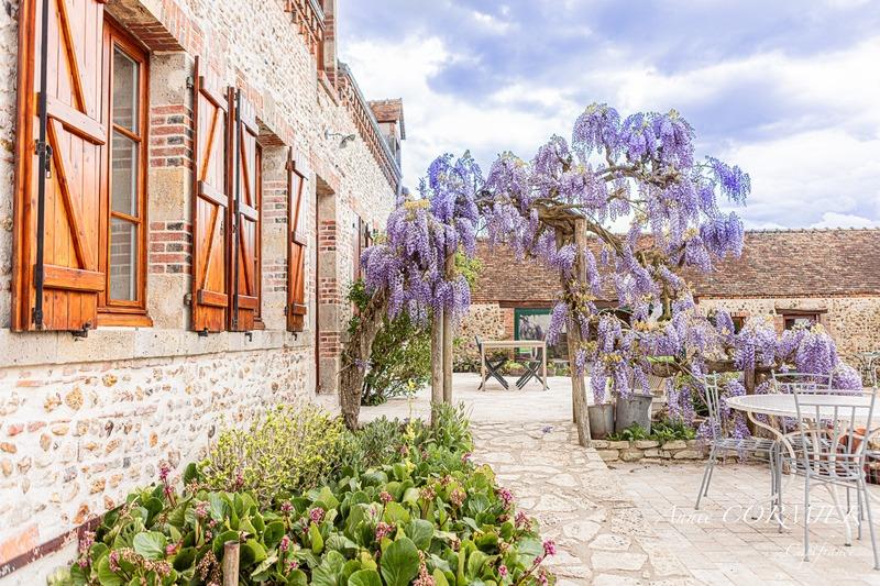 Maison - 245 m² - 7 pièces