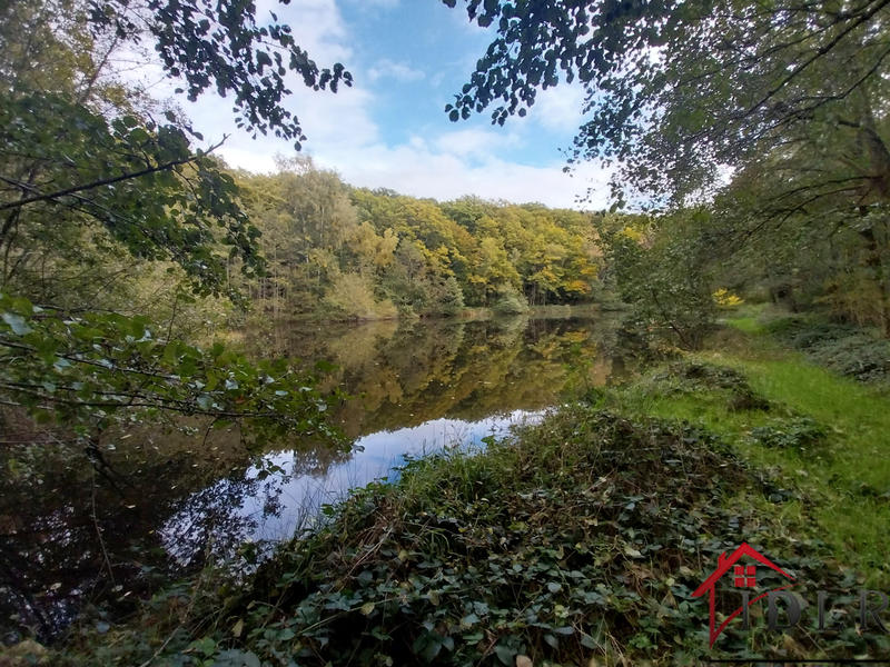 Terrain - 46 300 m²