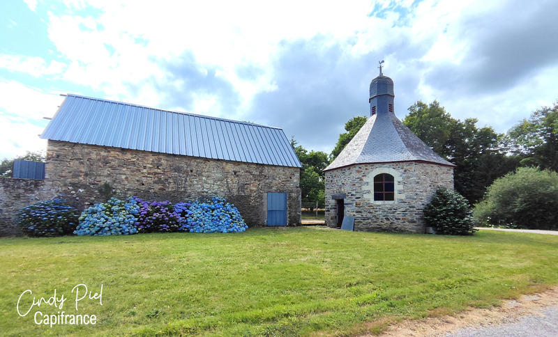 Manoir - 295 m² - 7 pièces