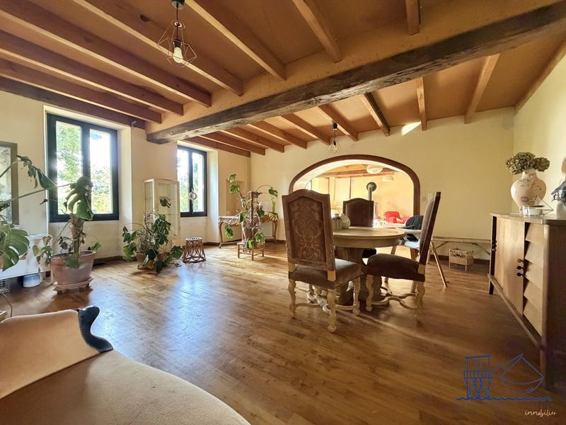 Maison ancienne - 330 m² - 7 pièces