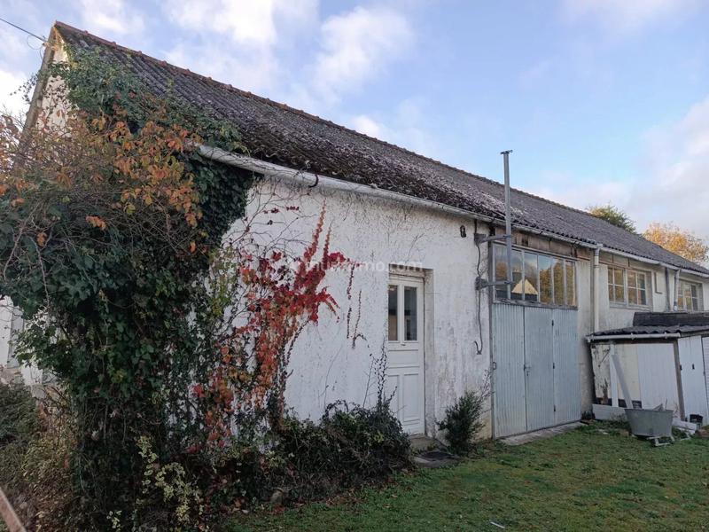 Bureau - 240 m² - 3 pièces