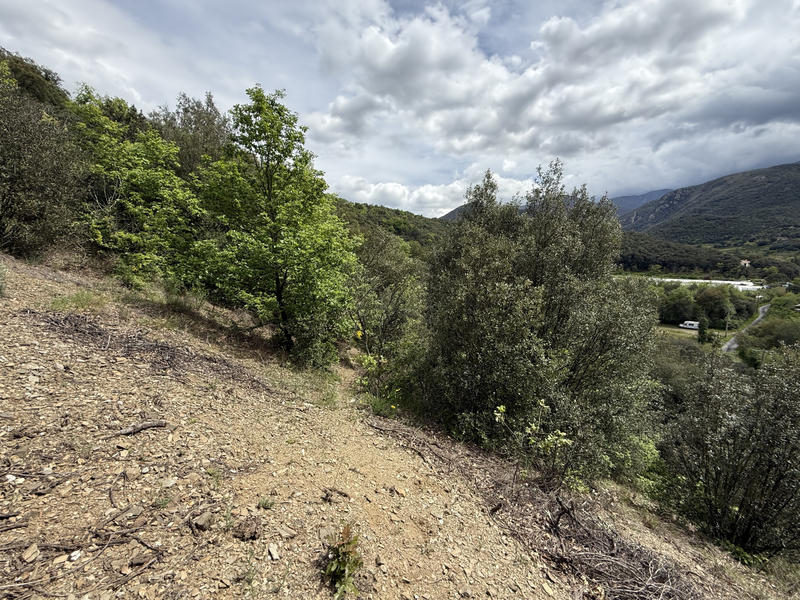 Terrain agricole - 5 780 m²