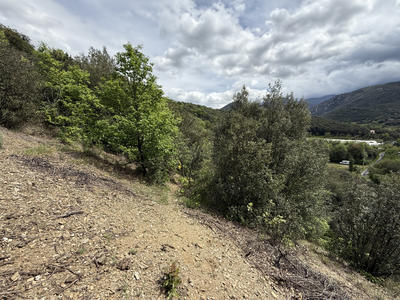 Terrain agricole - 5 780 m²