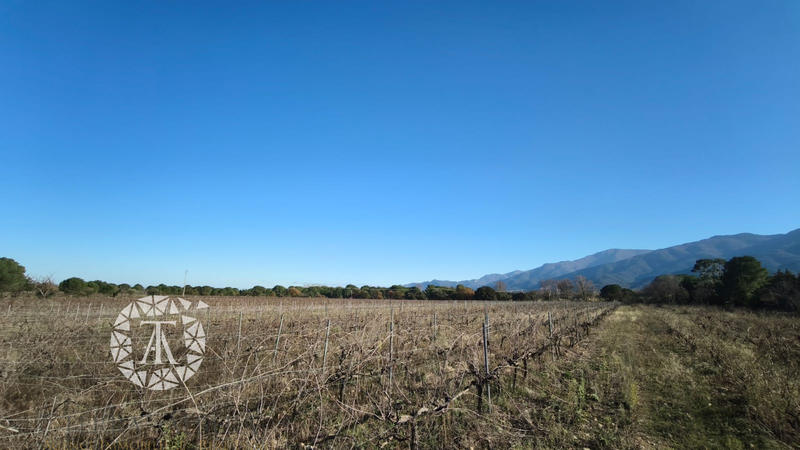 Terrain agricole - 4 247 m²