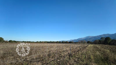 Terrain agricole - 4 247 m²