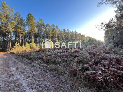 Terrain agricole - 11 400 m²