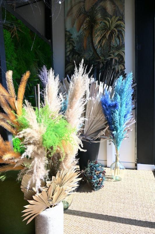 Local commercial - 71 m² - 2 pièces