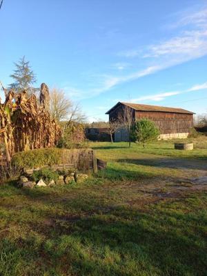 Propriété viticole - 129 m² - 5 pièces