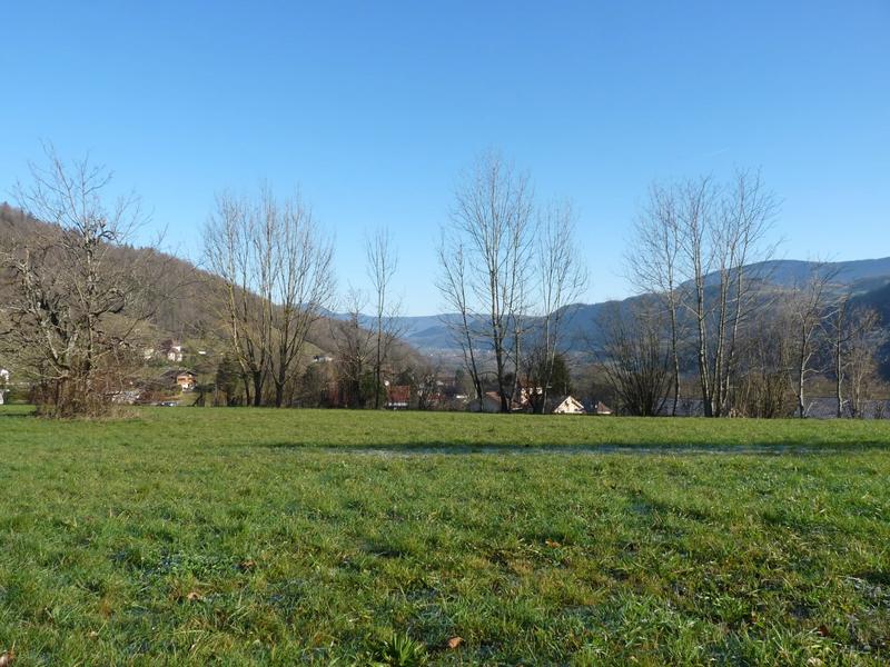 Terrain constructible - 9 954 m²