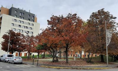 Appartement - 82 m² - 3 pièces