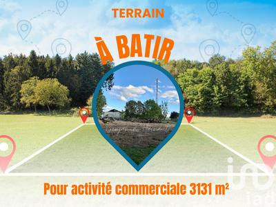 Terrain - 3 131 m²