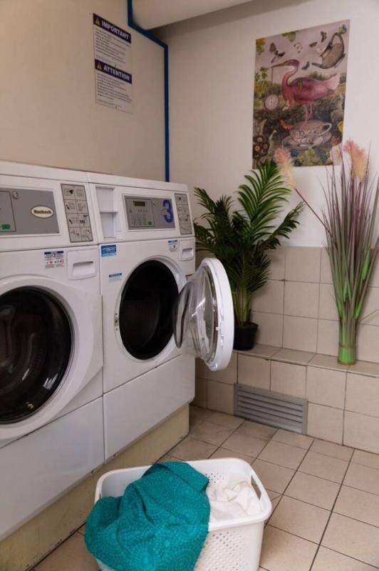 Studio - 19 m² - 1 pièce