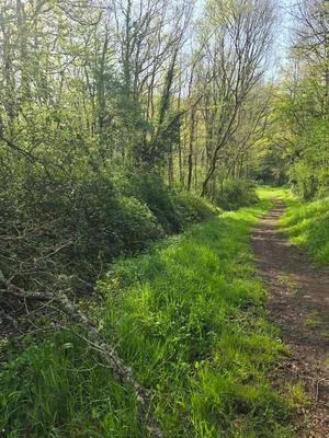 Terrain de loisirs - 2 500 m²