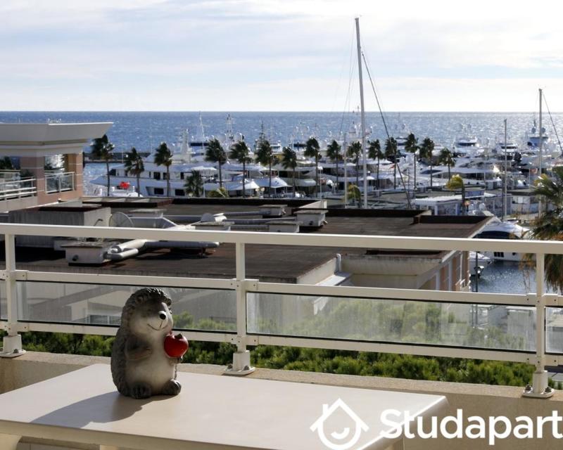 Appartement - 31 m² - 2 pièces