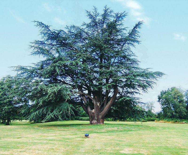 Château - 980 m² - 27 pièces