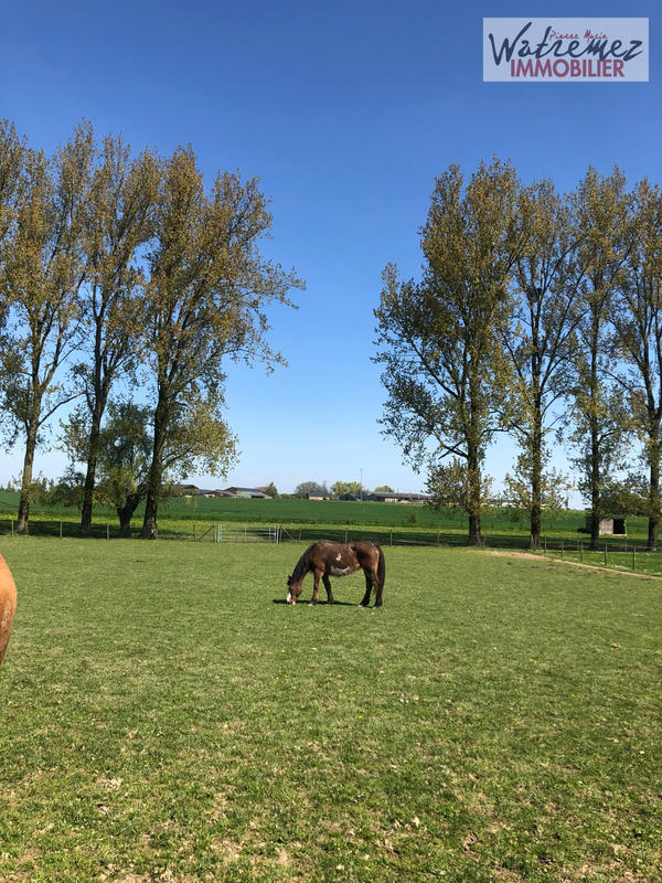 Propriété - 553 m² - 20 pièces