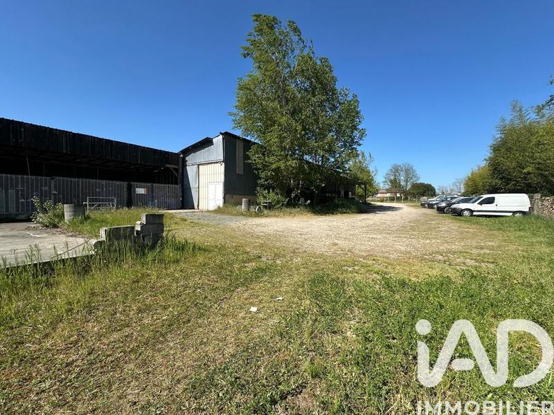 Immeuble - 1 100 m²