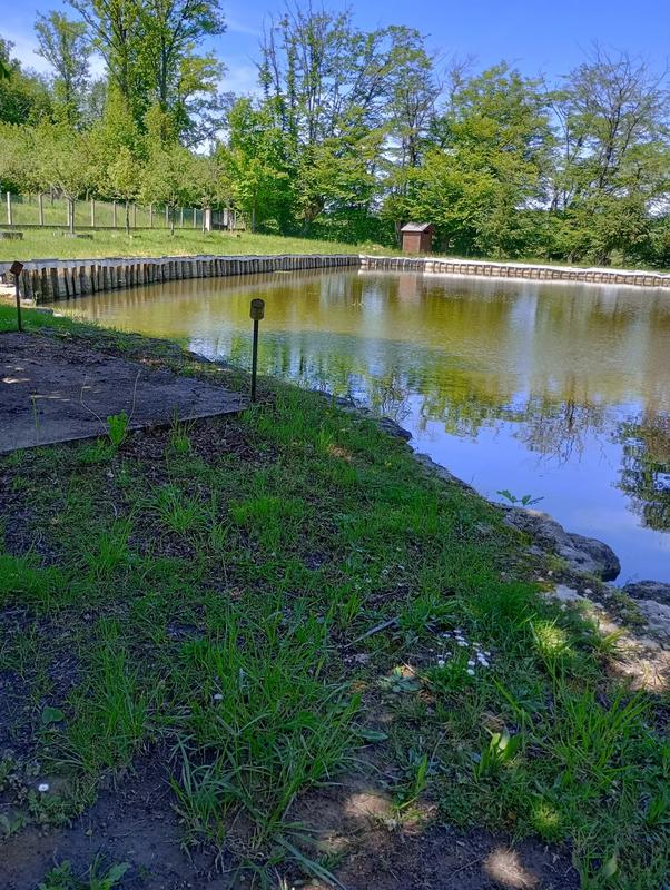 Terrain - 10 173 m²