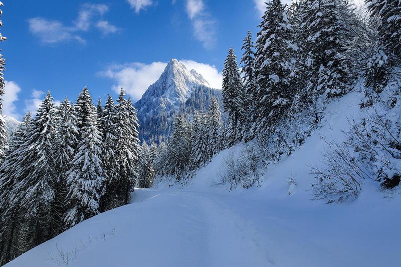 Appartement - 17 m² - 1 pièce