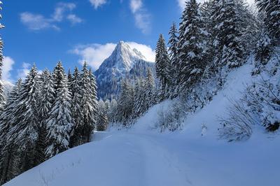 Appartement - 17 m² - 1 pièce