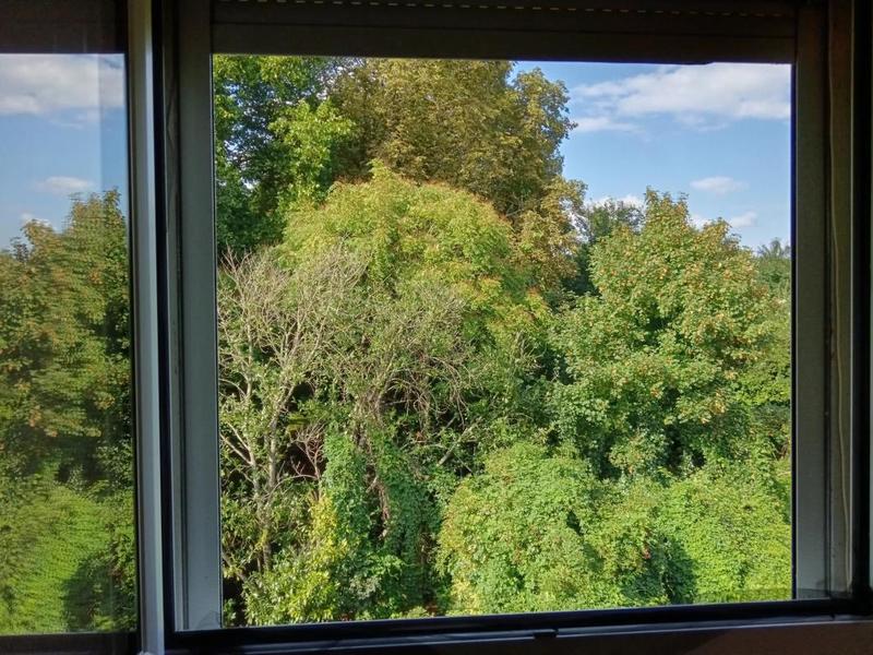 Appartement - 52 m² - 3 pièces