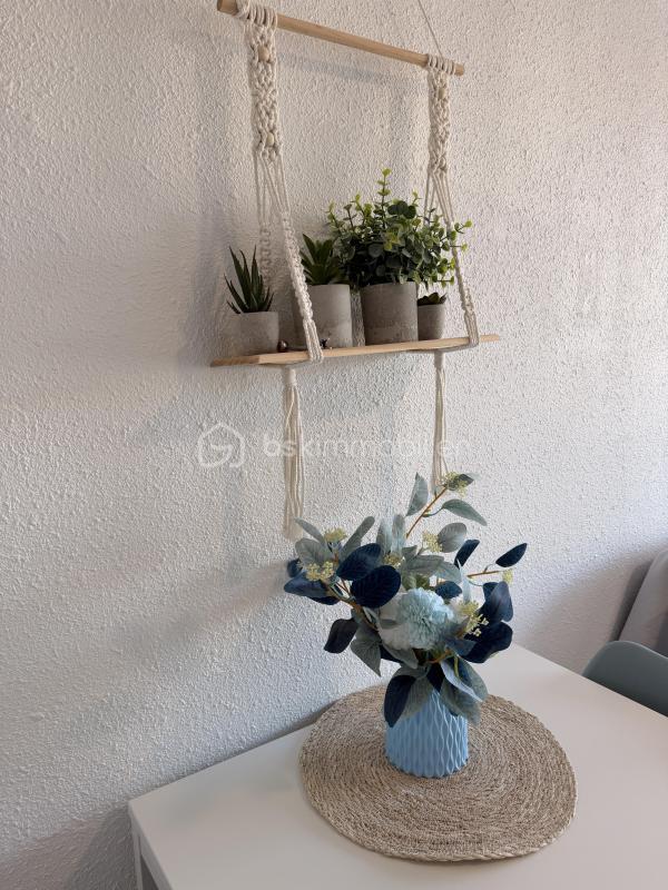 Studio - 23 m² - 1 pièce