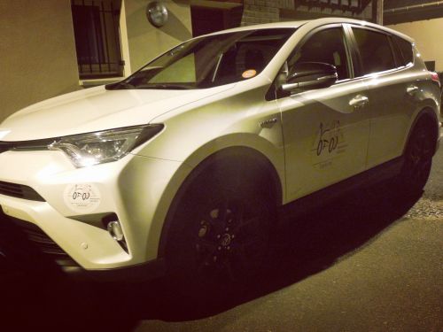 Chauffeur Vtc Transports lions de la route