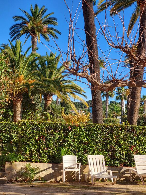 Appartement - 18 m² - 1 pièce